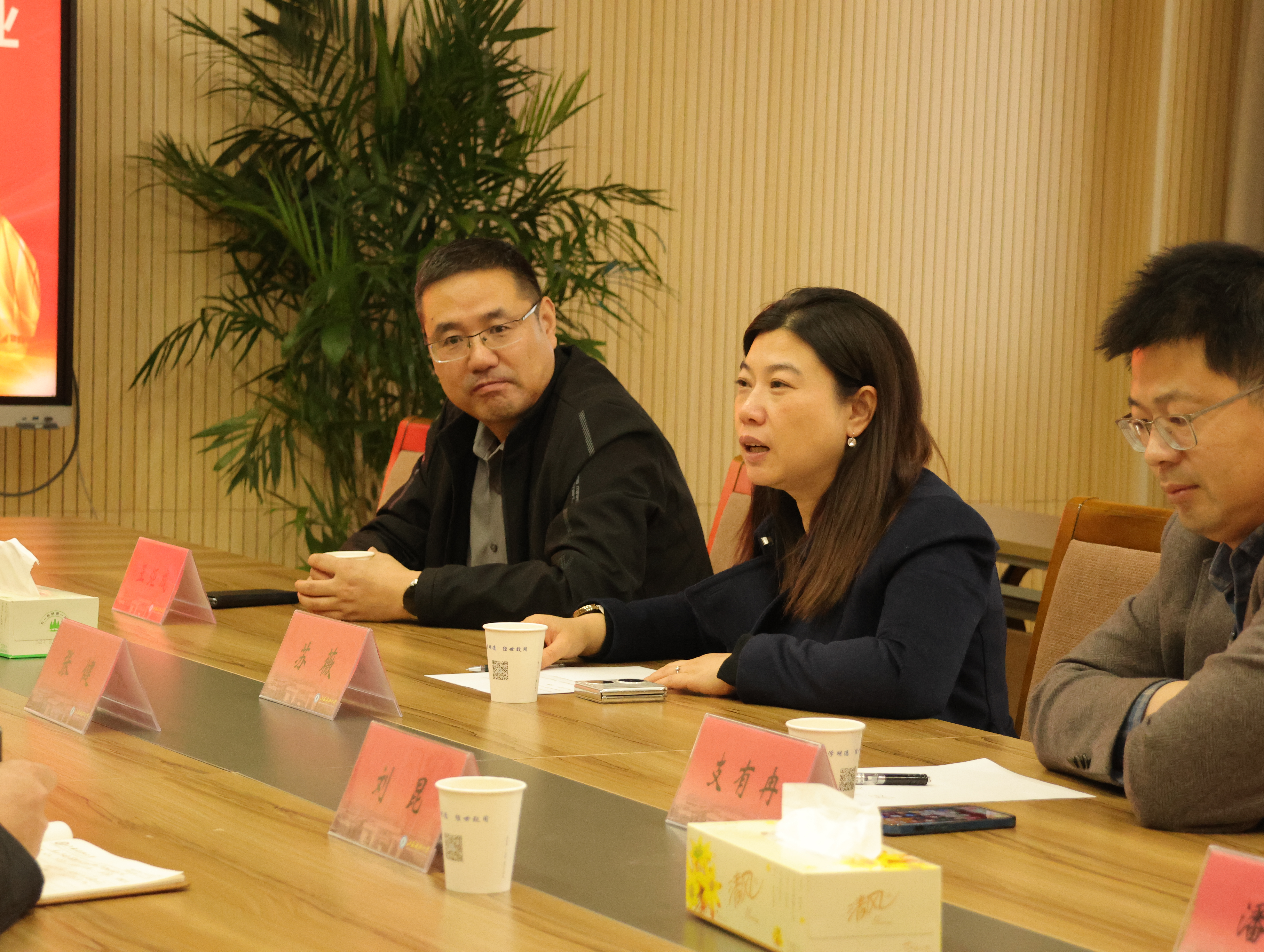 1732503773263951.jpg 2.JPG