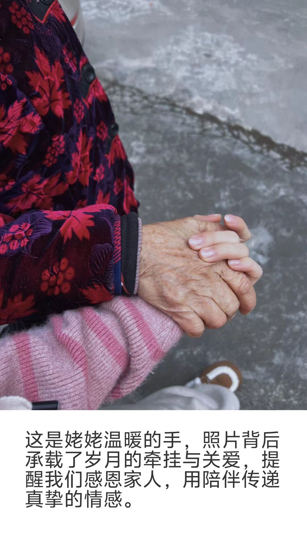 1732613266246121.jpg 感恩摄影3.jpg