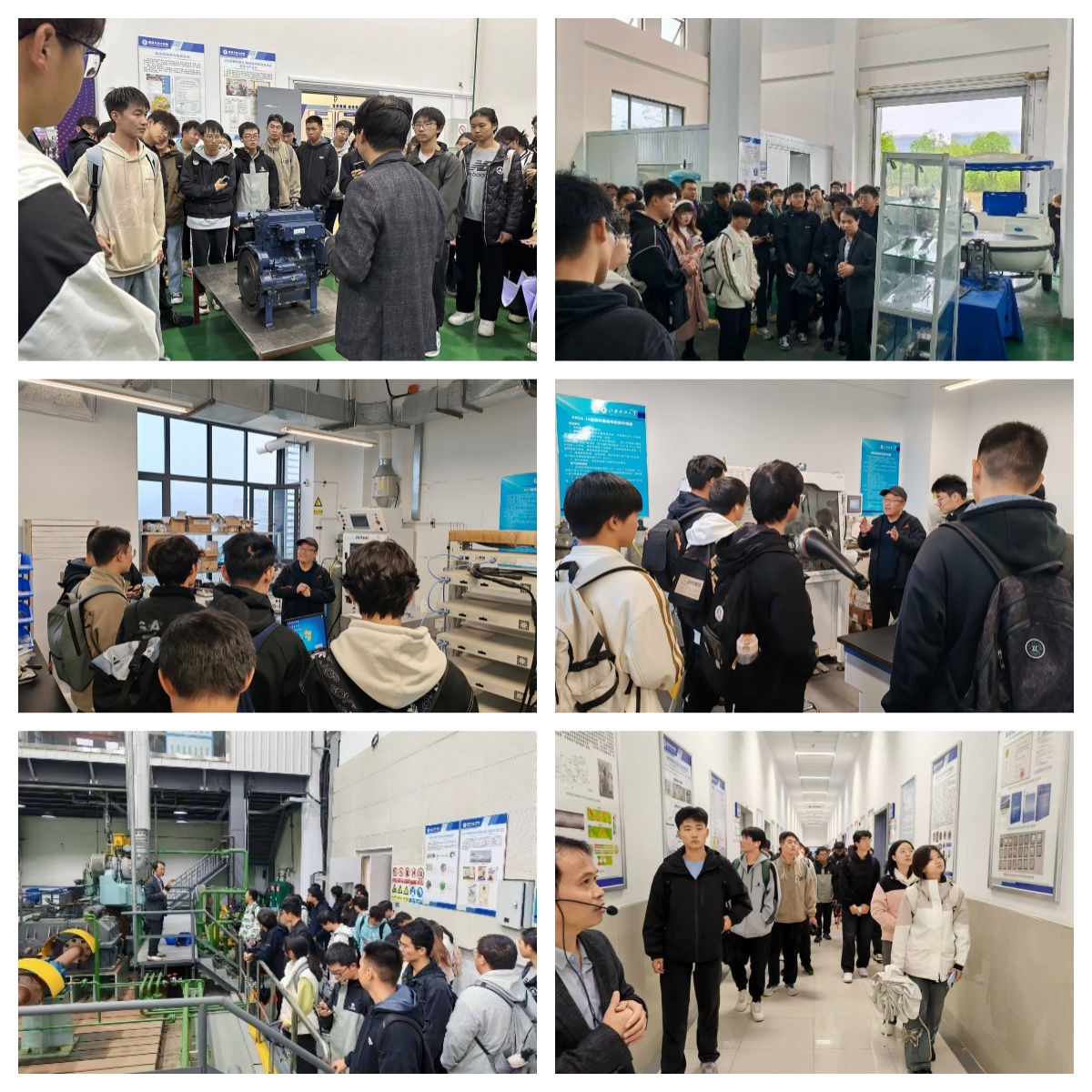 1730768795381583.jpg 拼图.jpg