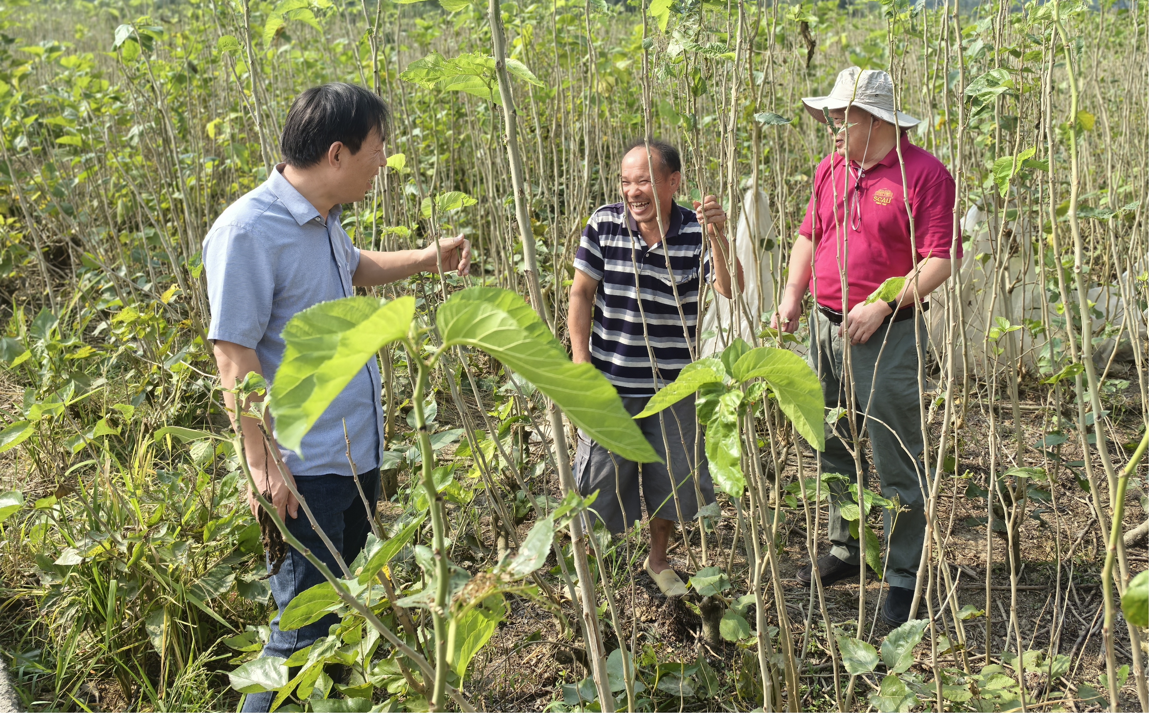 1732262449581177.jpg 图片10.jpg