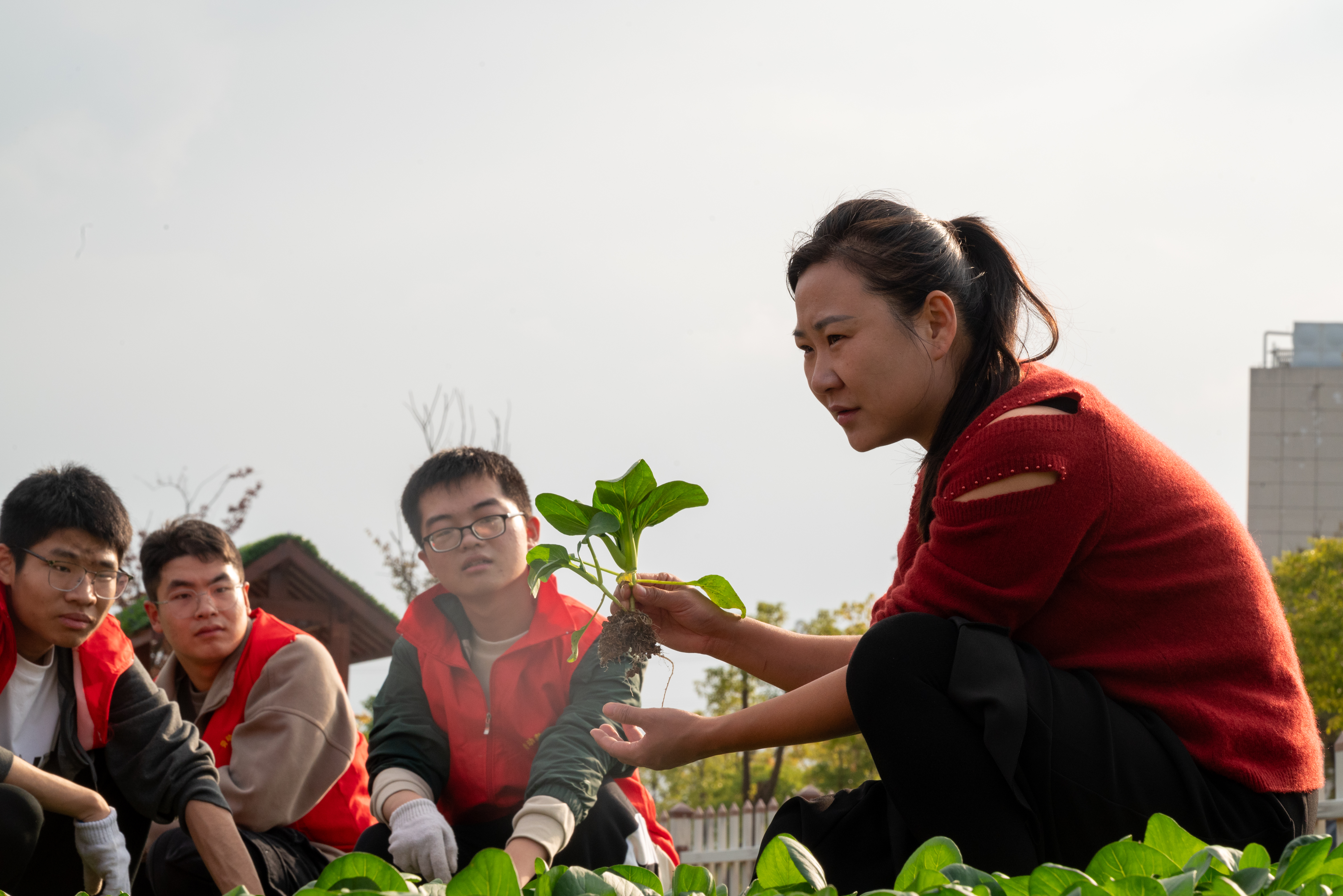 1730952886214299.jpg 1730952886214299.jpg